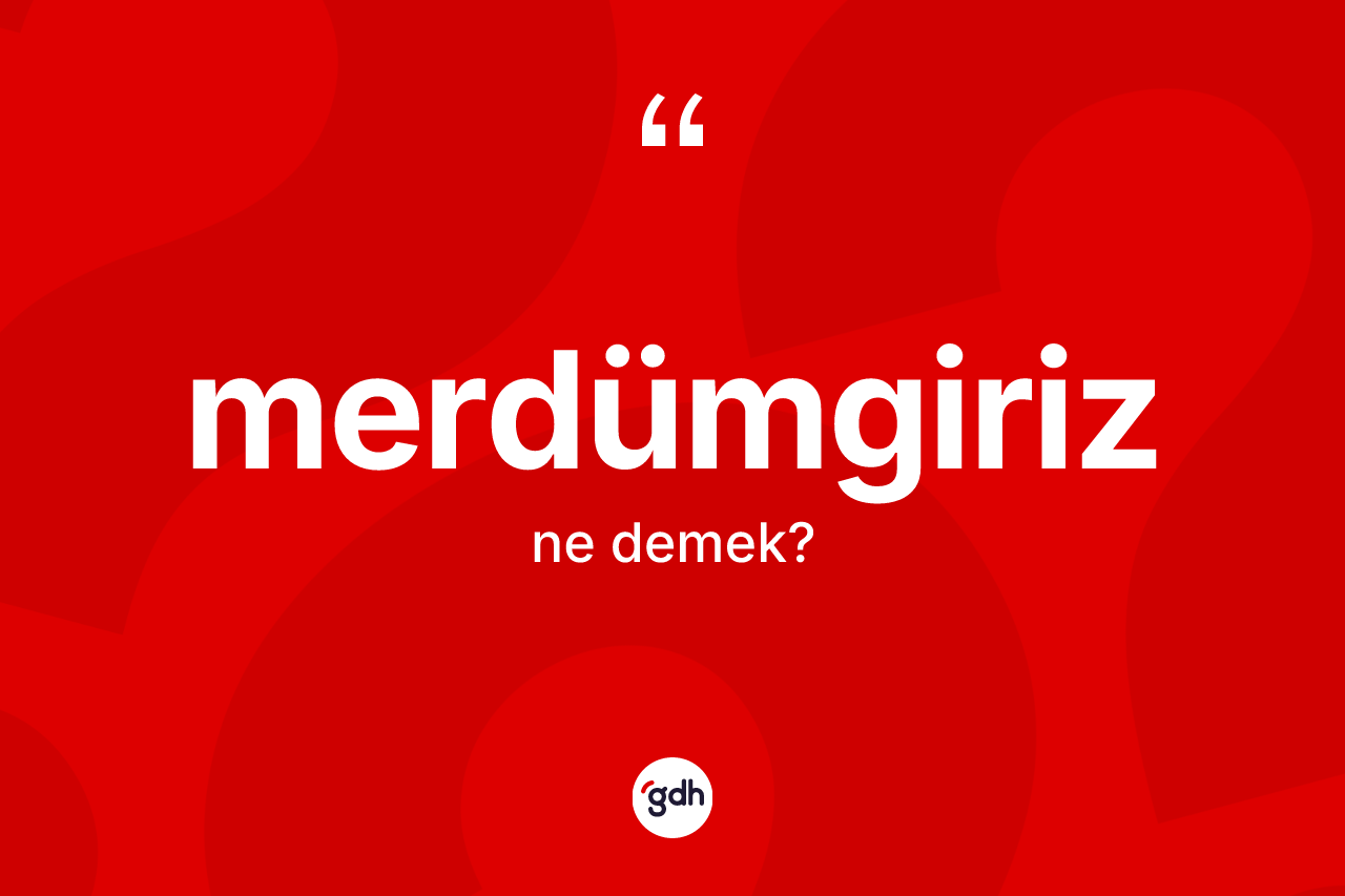 Merdümgiriz kelimesi ne demek? Merdümgirizin TDK'ya göre anlamı nedir?