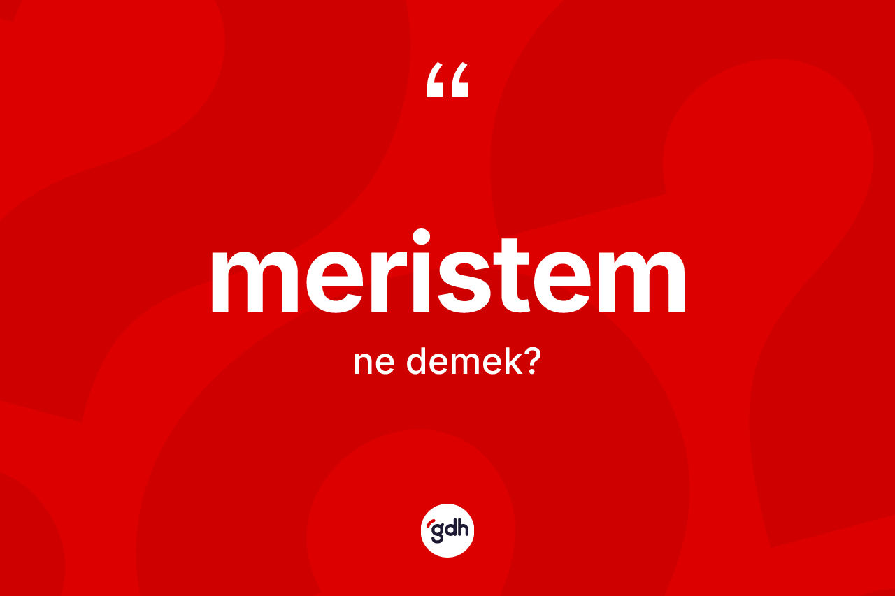 Meristem nedir? Meristemin TDK'ya göre anlamı nedir?