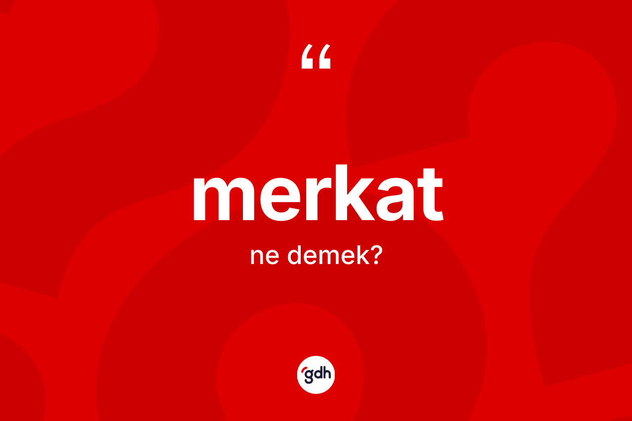 Merkat ne demek? Merkat kelimesinin TDK'ya göre açıklaması nedir?