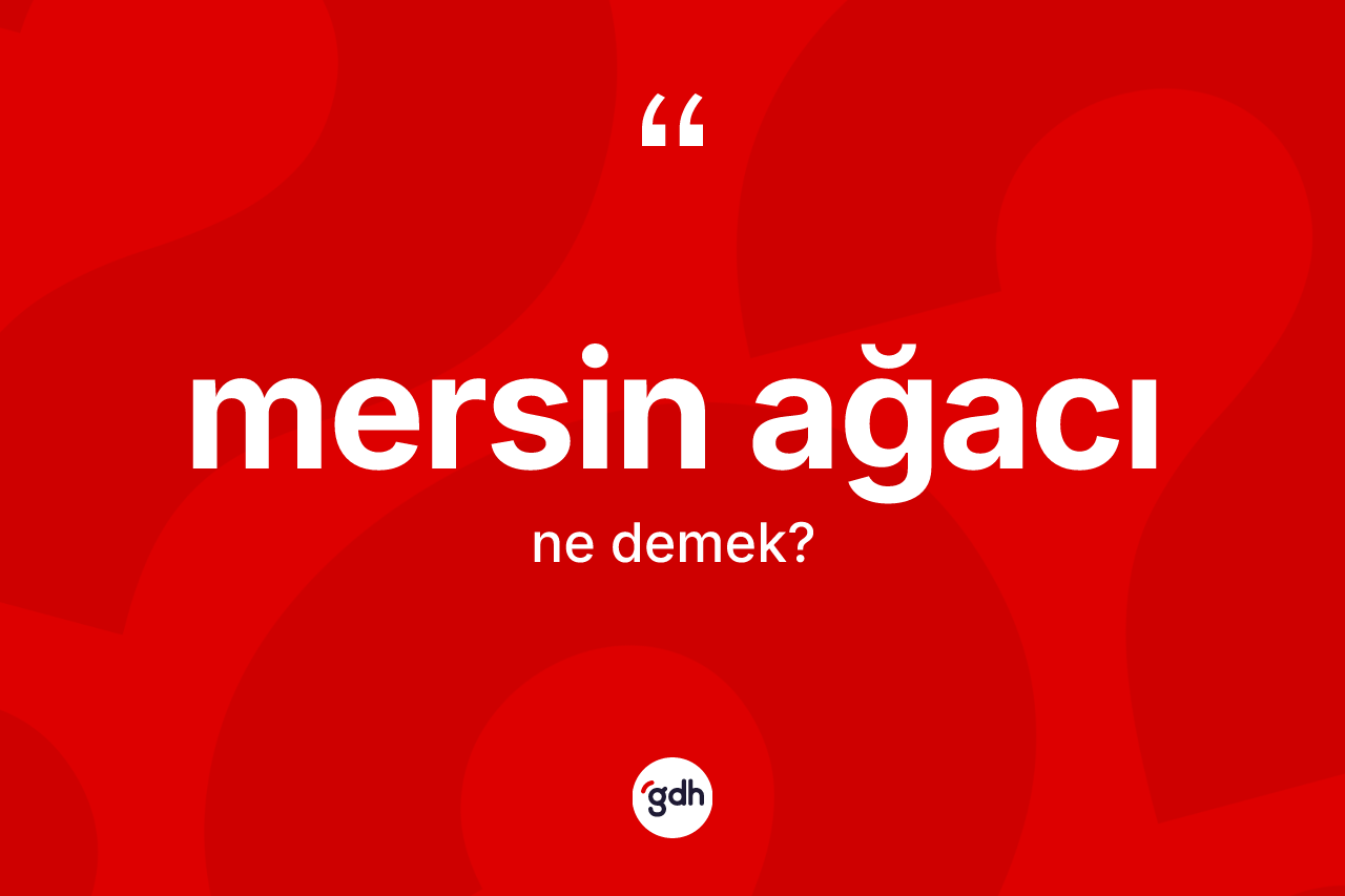 Mersin ağacı kelimesinin anlamı nedir? Mersin ağacı kelimesinin özellikleri nelerdir?