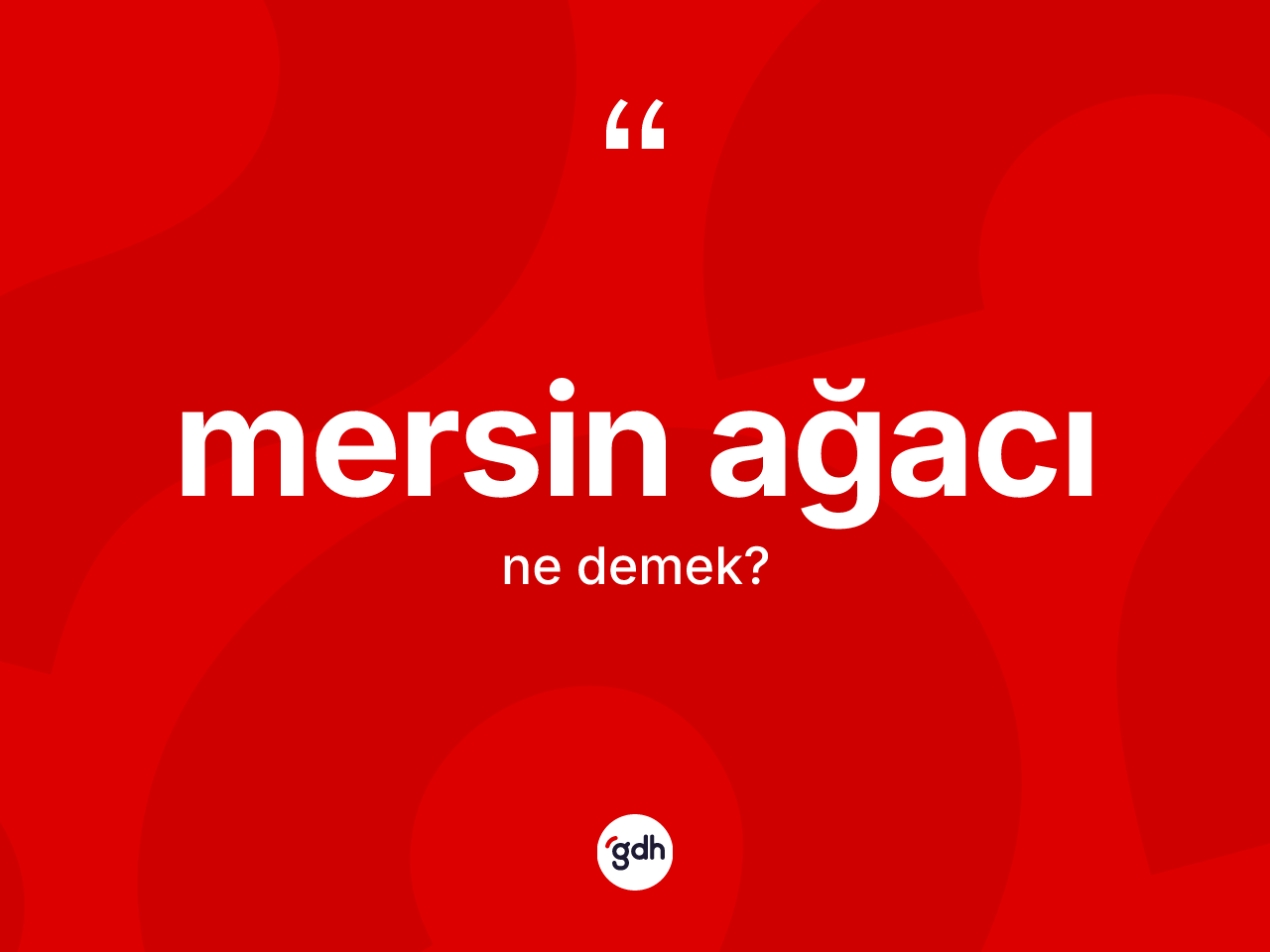 Mersin ağacı kelimesinin anlamı nedir? Mersin ağacı kelimesinin özellikleri nelerdir?