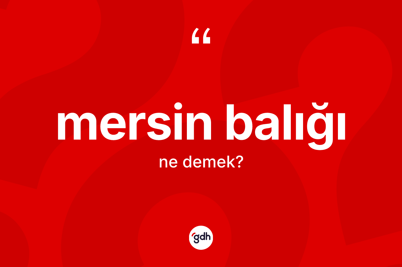 Mersin balığı nedir?
