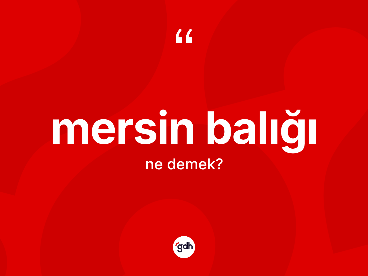 Mersin balığı nedir? Mersin balığının kısaca tanımı nedir?
