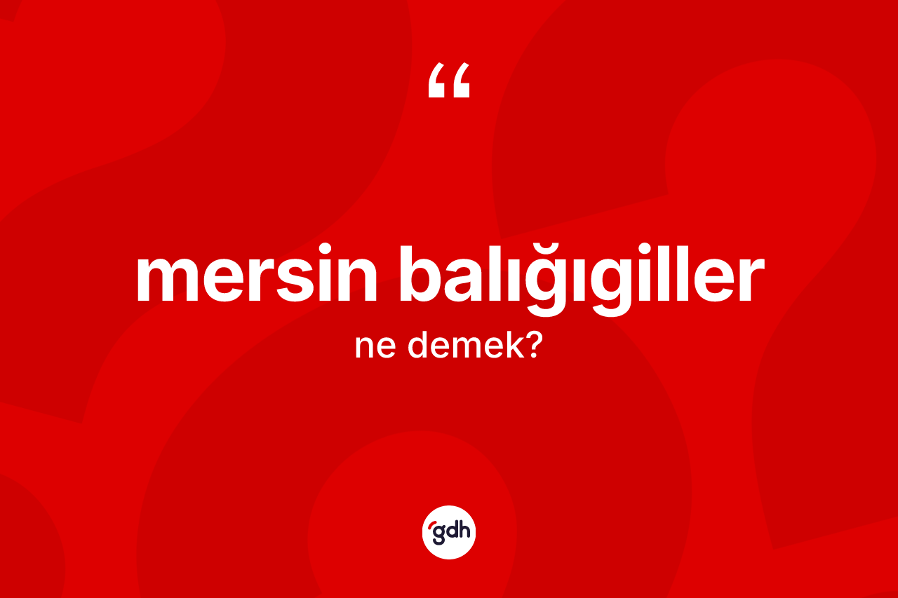 Mersin balığıgiller kelimesinin anlamı nedir? Mersin balığıgiller kelimesinin özellikleri nelerdir?