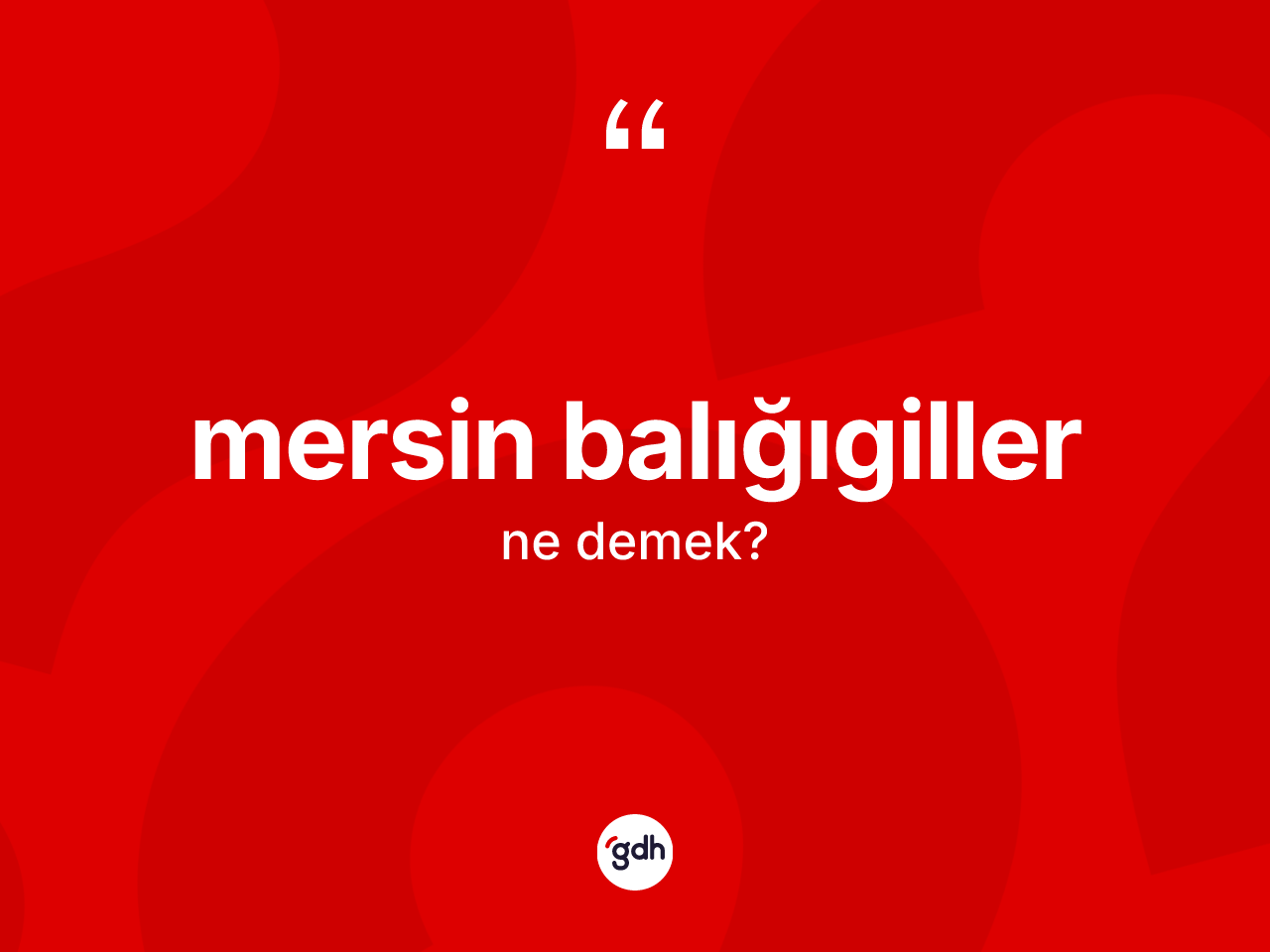 Mersin balığıgiller kelimesinin anlamı nedir? Mersin balığıgiller kelimesinin özellikleri nelerdir?
