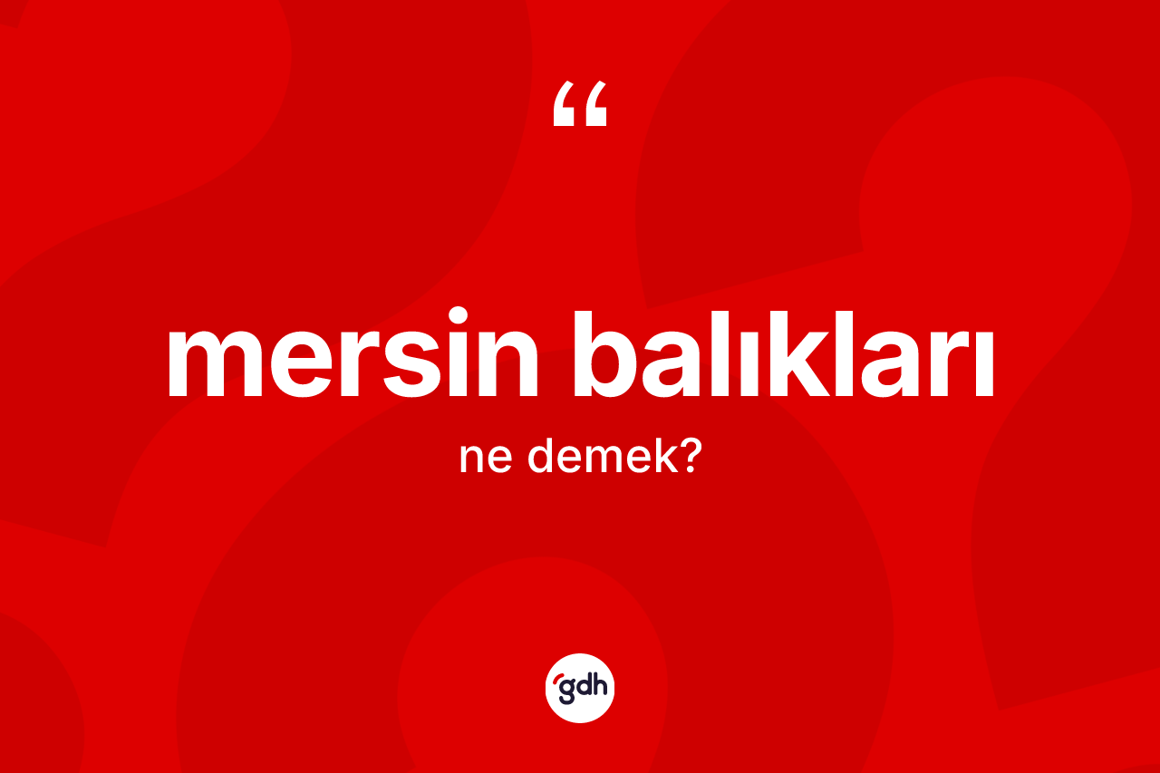 Mersin balıkları kelimesi ne demek? Mersin balıkları kelimesinin özellikleri nelerdir?
