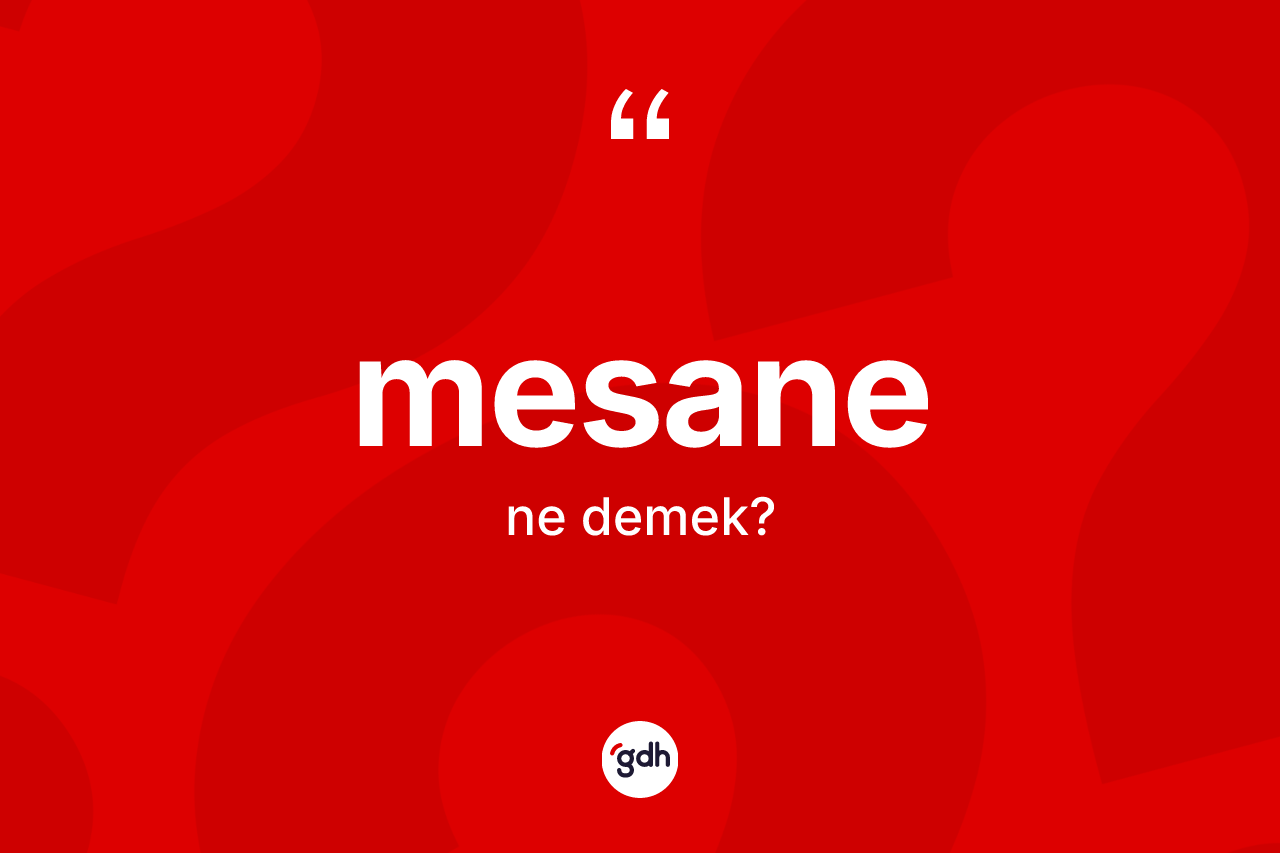 Mesane kelimesinin tanımı nedir? Mesanenin halk arasındaki kullanımı nasıldır?