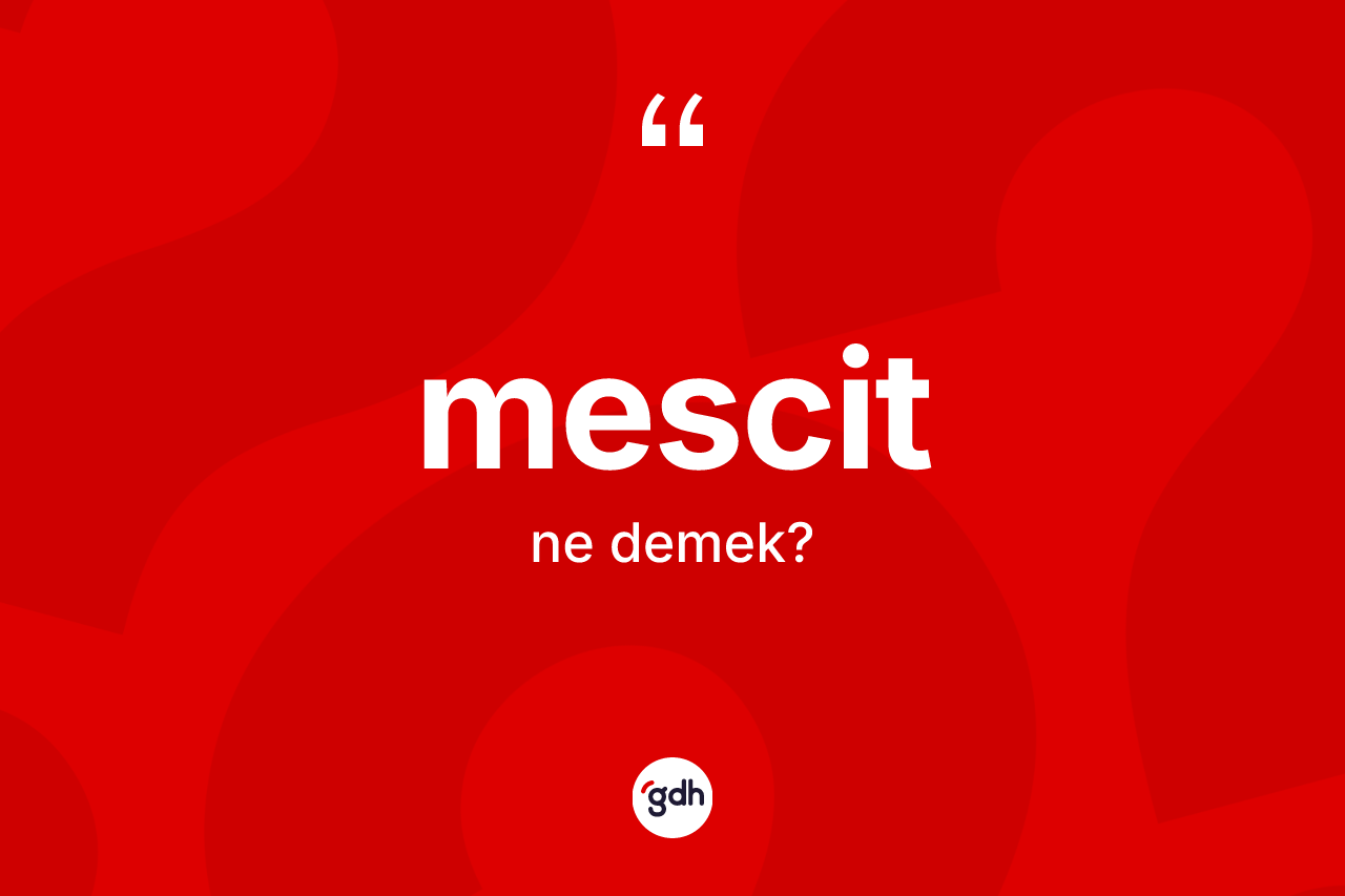 Mescit kelimesinin anlamı nedir? Mescidin halk arasındaki kullanımı nasıldır?