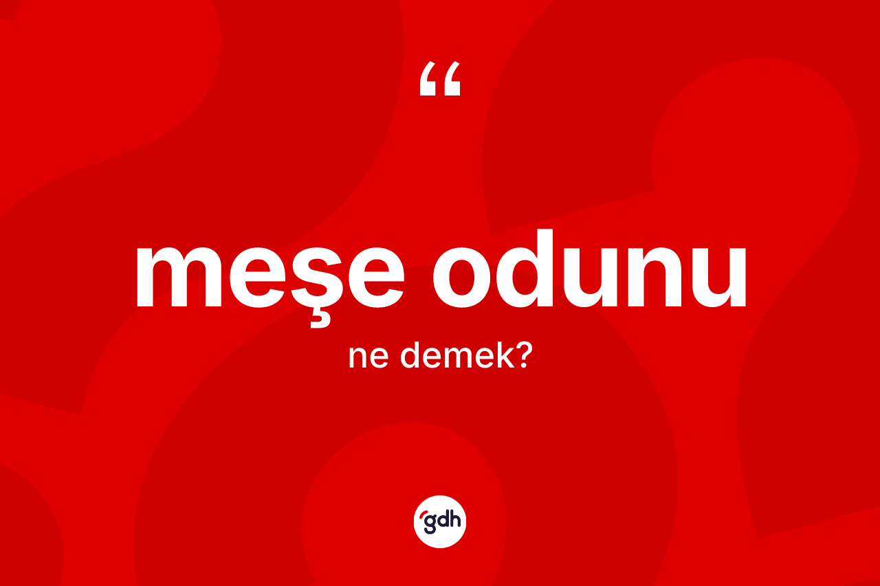 Meşe odunu nedir? Meşe odunu kelimesinin özellikleri nelerdir?