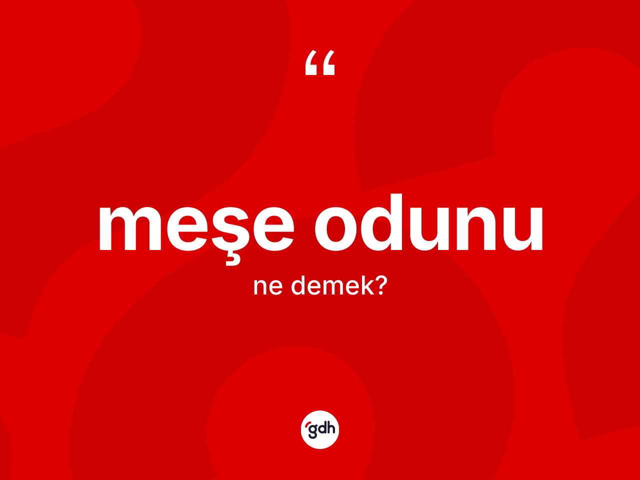Meşe odunu nedir? Meşe odunu kelimesinin özellikleri nelerdir?
