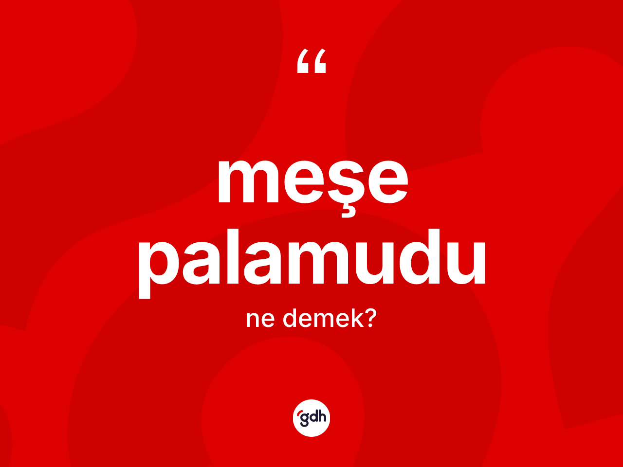 Meşe palamudu kelimesinin anlamı nedir? Meşe palamudu kelimesinin TDK anlamı nedir?