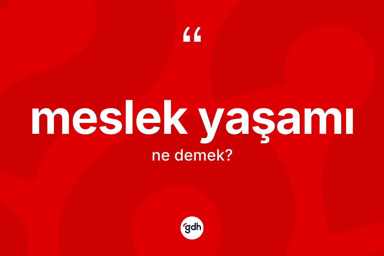 Meslek yaşamı kelimesi ne anlama gelir? Meslek yaşamı kelimesinin TDK anlamı nedir?