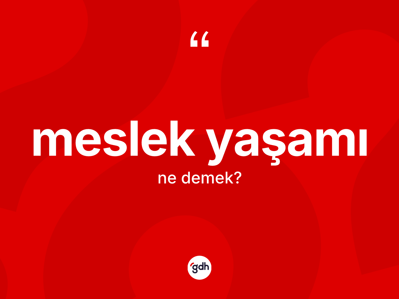 Meslek yaşamı kelimesi ne anlama gelir? Meslek yaşamı kelimesinin TDK anlamı nedir?