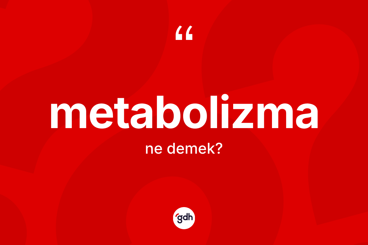 Metabolizma kelimesi ne demek? Metabolizma kelimesinin TDK anlamı nedir?