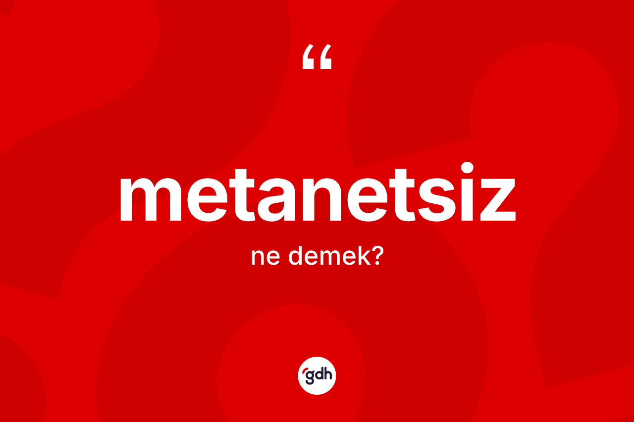 Metanetsiz nedir? Metanetsizin kısaca tanımı nedir?