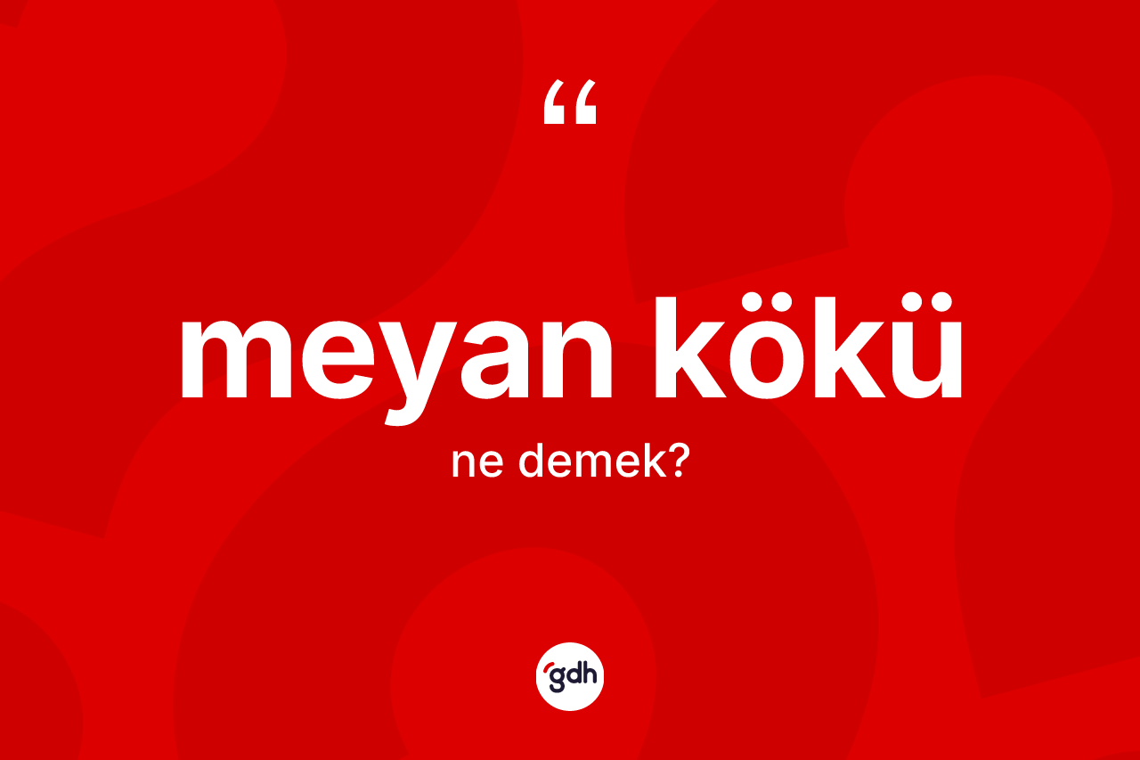 Meyan kökü kelimesinin anlamı nedir?