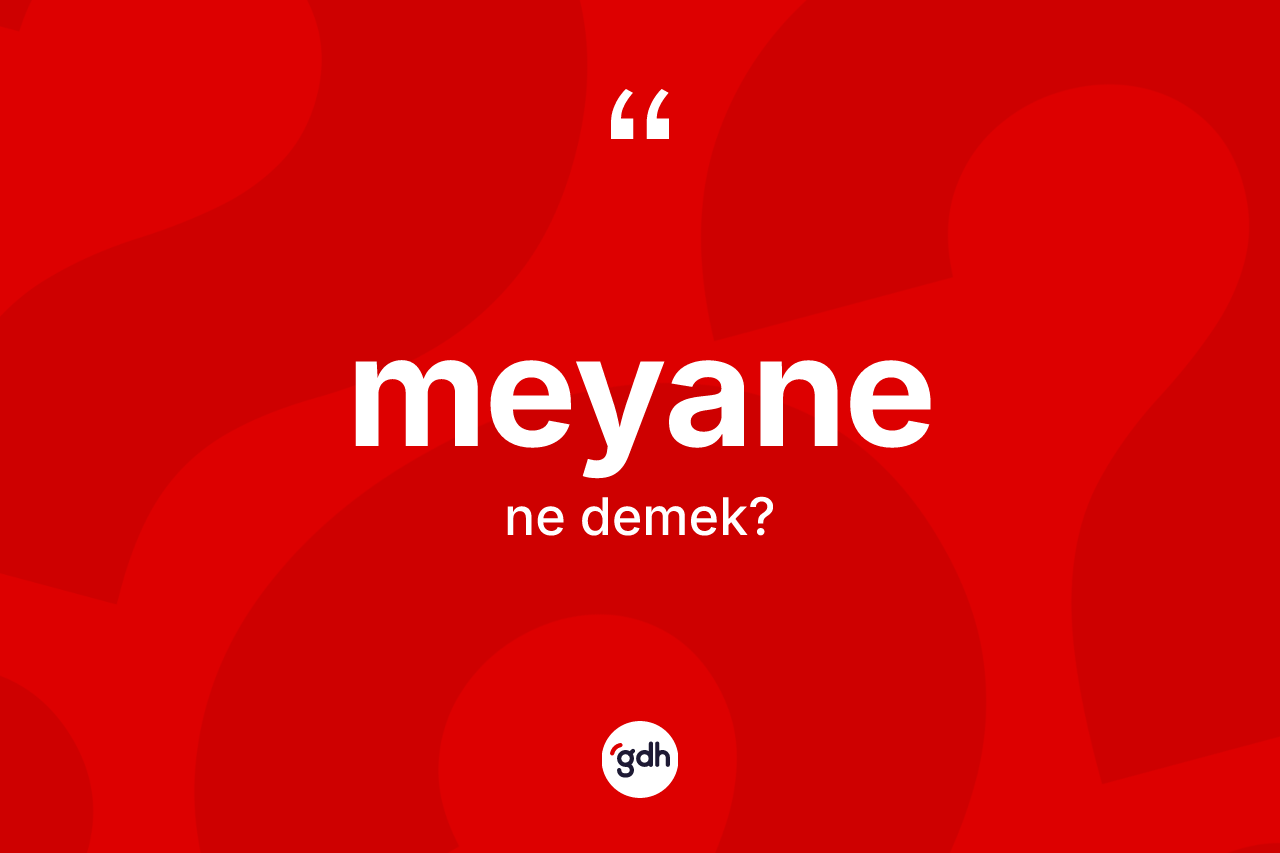 Meyane kelimesinin anlamı nedir? Meyanenin sözlükteki anlamı nedir?
