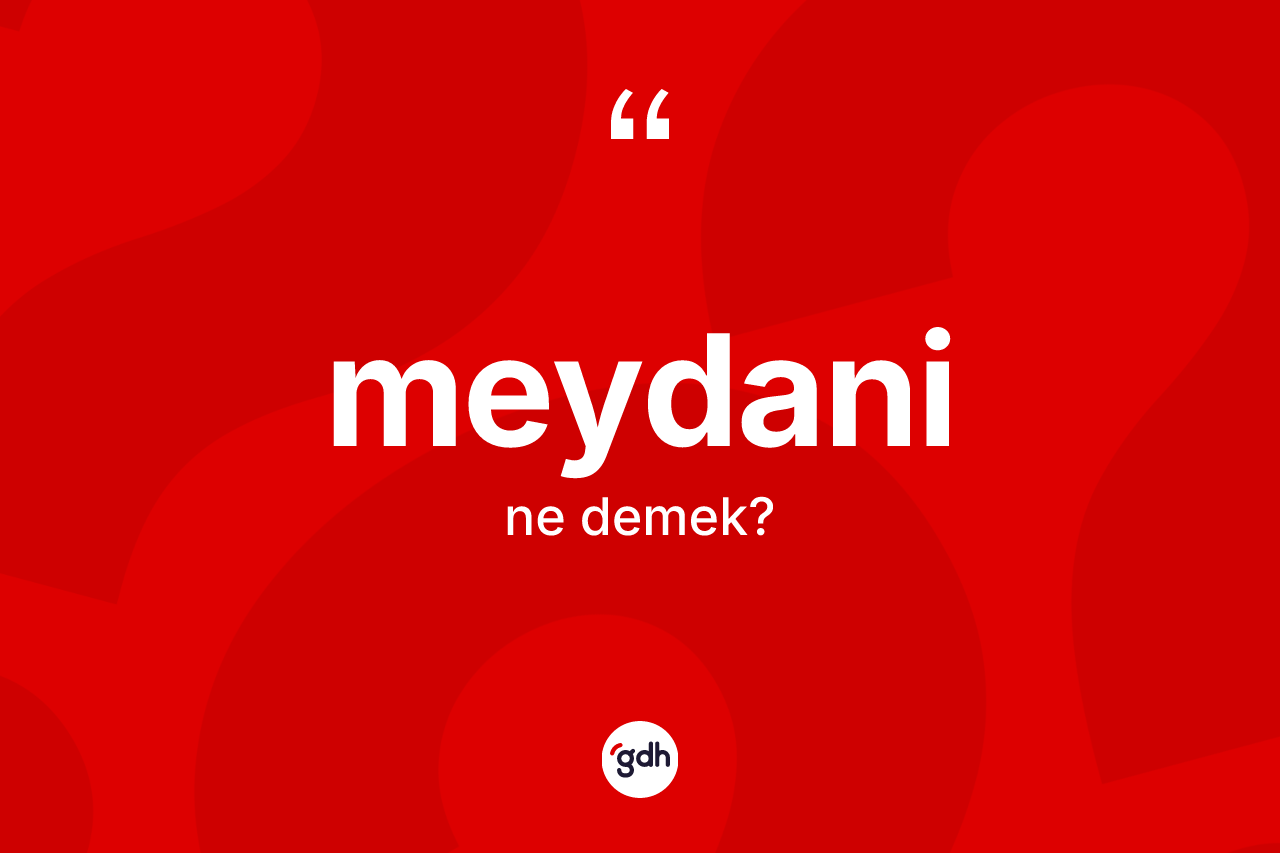 Meydani nedir? Meydaninin TDK'ya göre anlamı nedir?