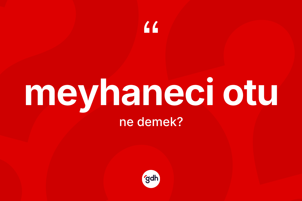 Meyhaneci otu kelimesinin sözlükteki tanımı nedir?