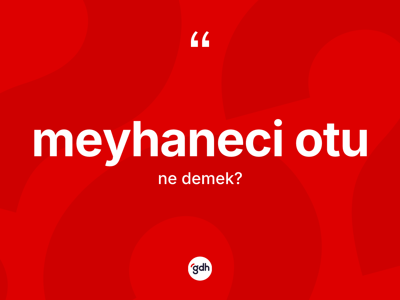 Meyhaneci otu kelimesinin sözlükteki tanımı nedir? Meyhaneci otunun kısaca tanımı nedir?