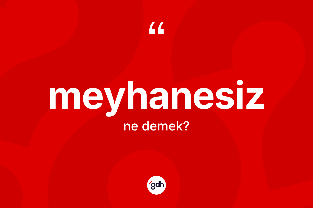 Meyhanesiz kelimesinin anlamı nedir? Meyhanesizin TDK'ya göre anlamı nedir?