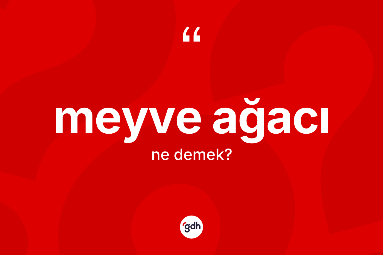 Meyve ağacı kelimesi ne demek? Meyve ağacının kısaca tanımı nedir?