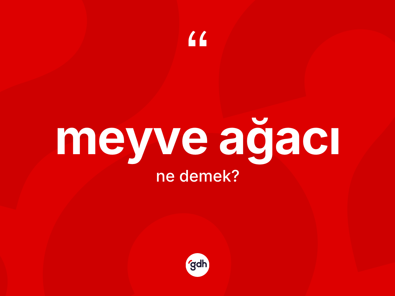 Meyve ağacı kelimesi ne demek? Meyve ağacının kısaca tanımı nedir?