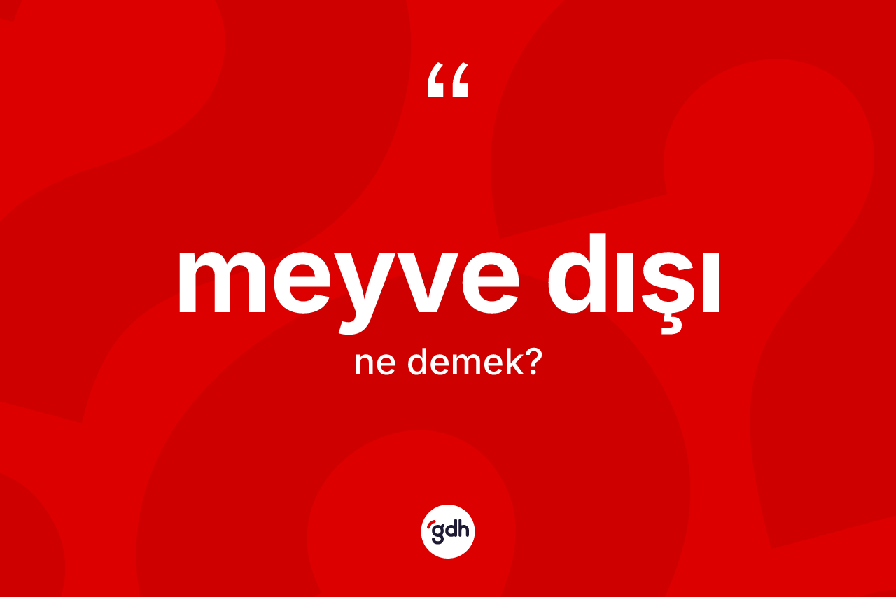 Meyve dışı kelimesinin anlamı nedir? Meyve dışının sözlükteki anlamı nedir?