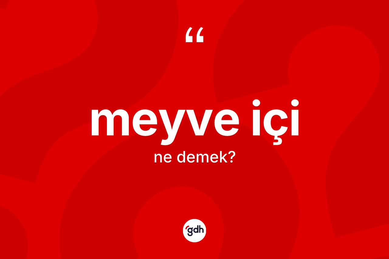 Meyve içi kelimesinin sözlükteki tanımı nedir? Meyve içi kelimesinin kaç farklı anlamı var?