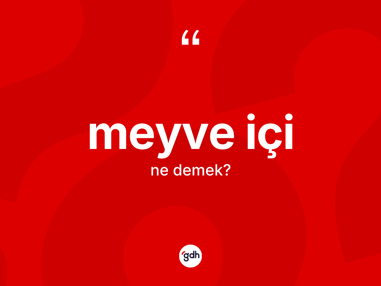 Meyve içi kelimesinin sözlükteki tanımı nedir? Meyve içi kelimesinin kaç farklı anlamı var?