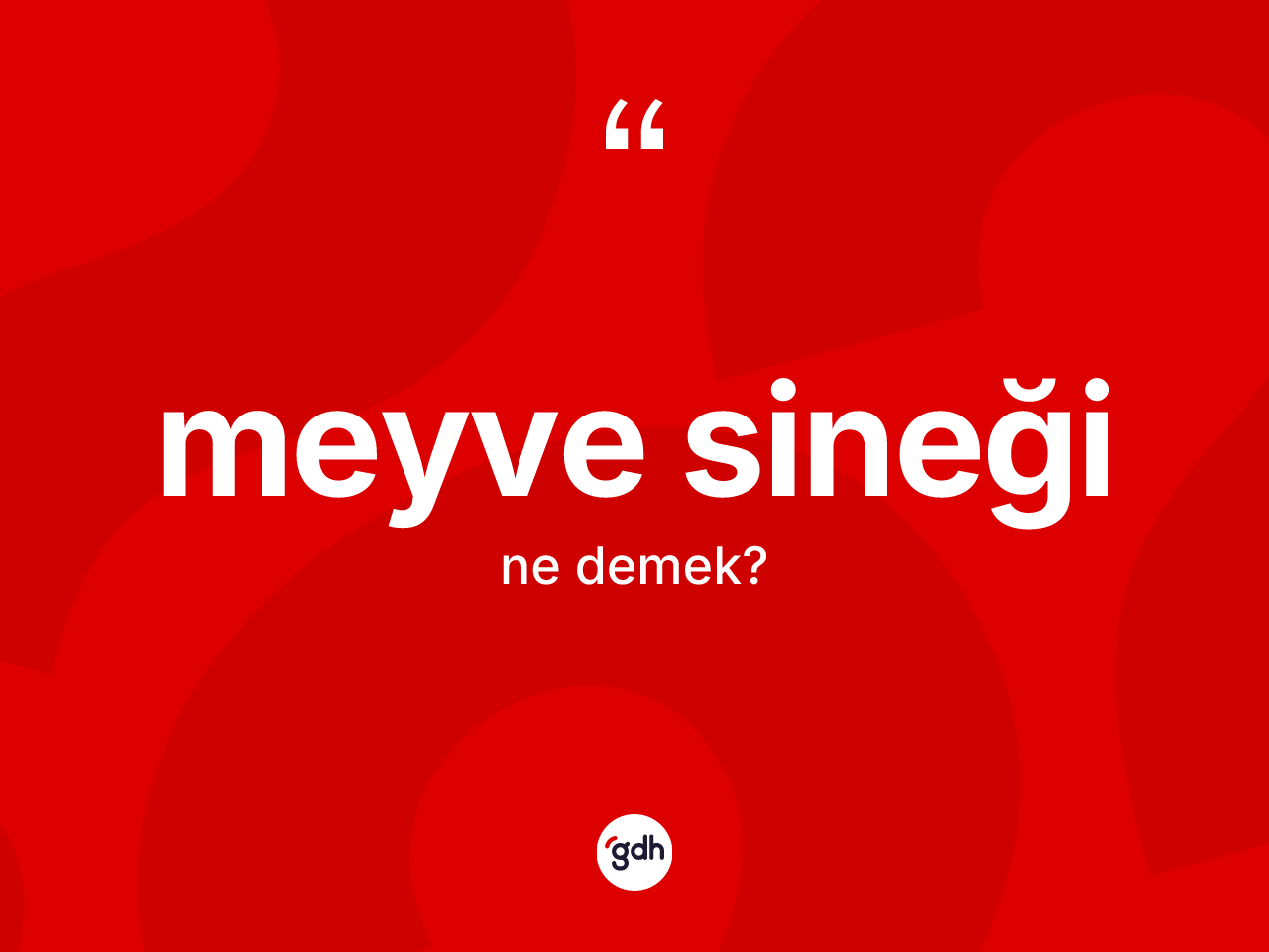 Meyve sineği kelimesi nedir? Meyve sineğinin TDK'ya göre anlamı nedir?