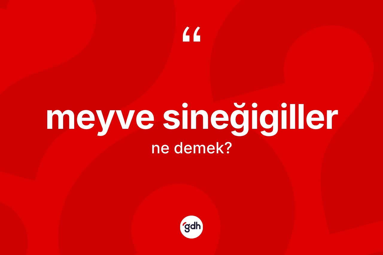 Meyve sineğigiller kelimesinin tanımı nedir? Meyve sineğigillerin TDK'ya göre anlamı nedir?