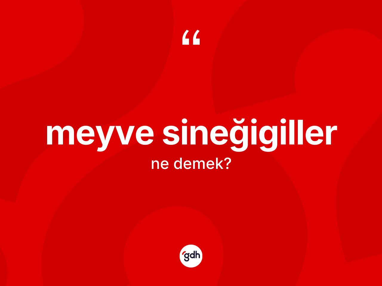 Meyve sineğigiller kelimesinin tanımı nedir? Meyve sineğigillerin TDK'ya göre anlamı nedir?