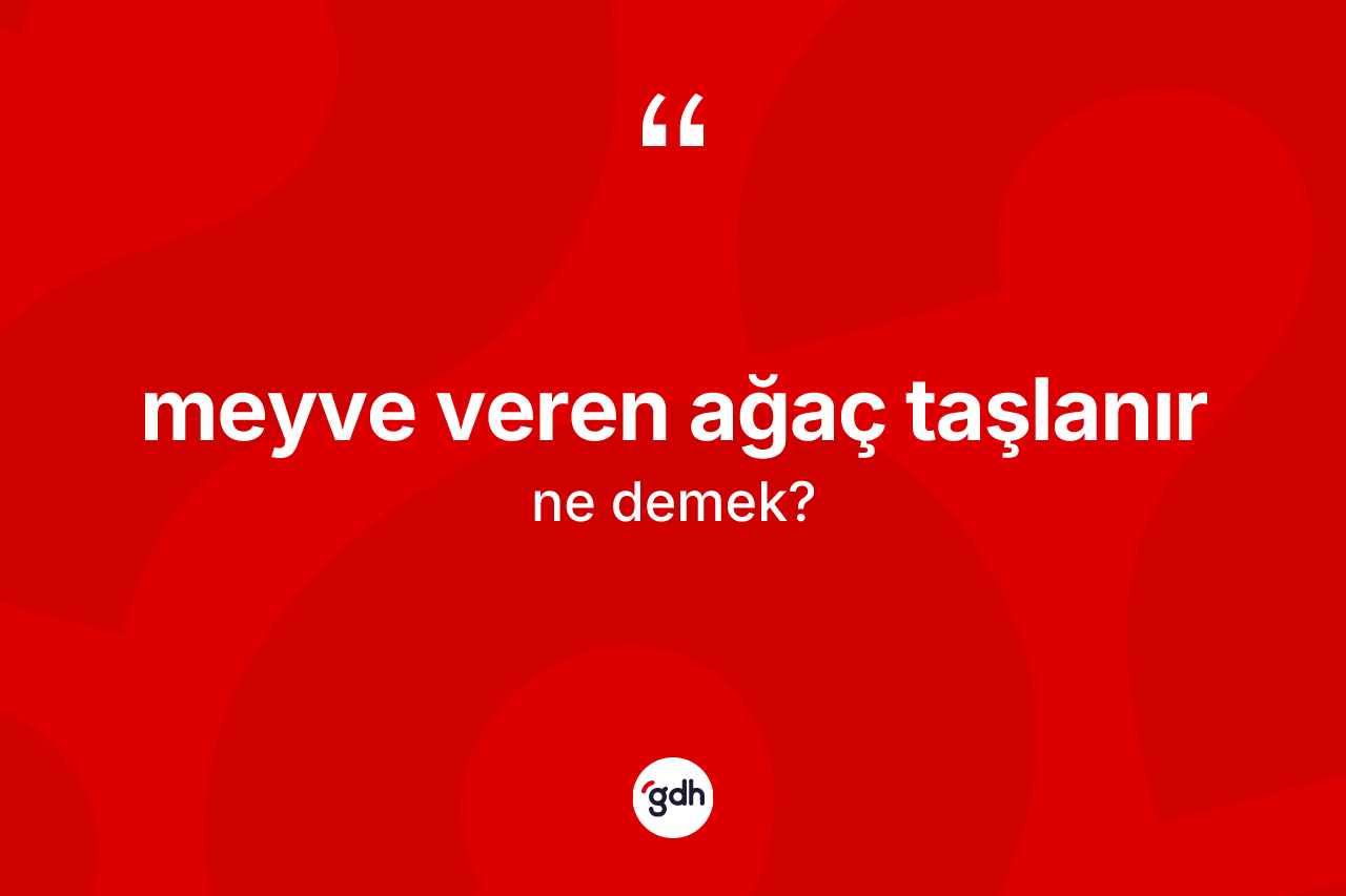 Meyve veren ağaç taşlanır ne demek?