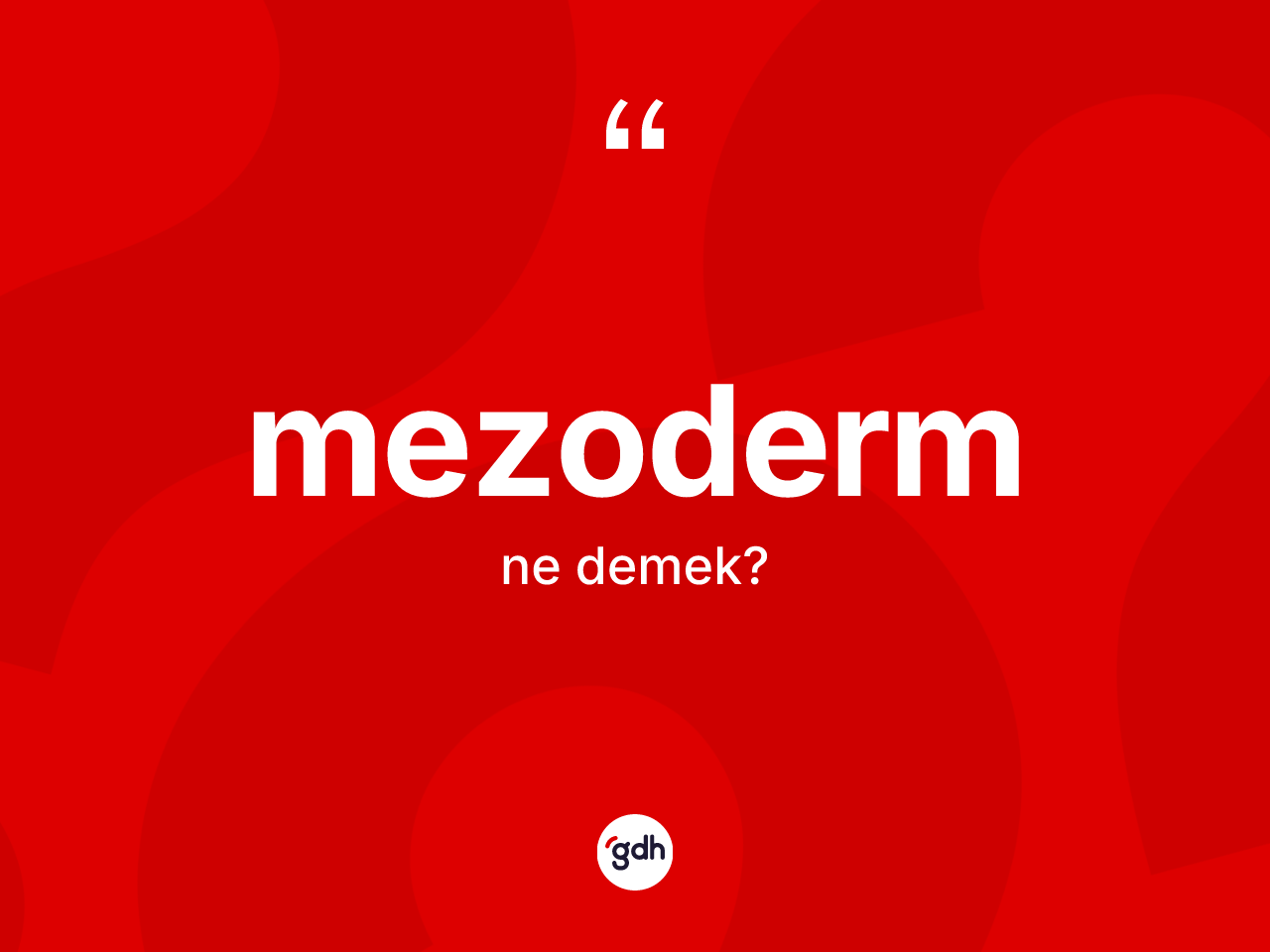 Mezoderm kelimesinin sözlükteki tanımı nedir? Mezodermin TDK'ya göre anlamı nedir?