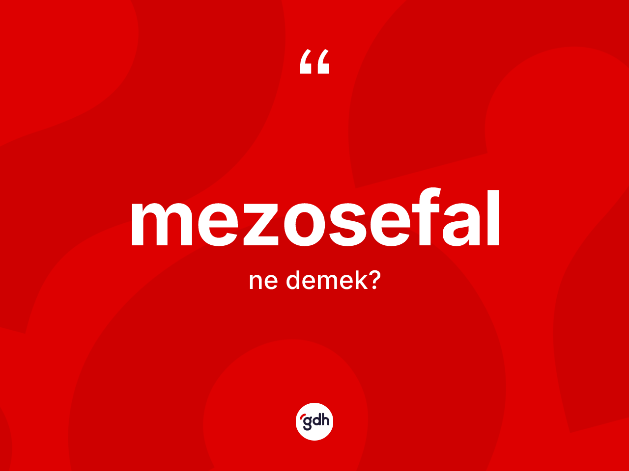 Mezosefal kelimesinin anlamı nedir? Mezosefal kelimesinin özellikleri nelerdir?