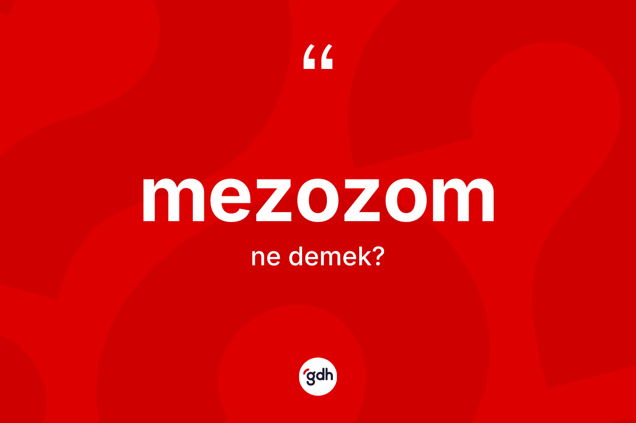 Mezozom kelimesi nedir? Mezozom kelimesinin TDK anlamı nedir?