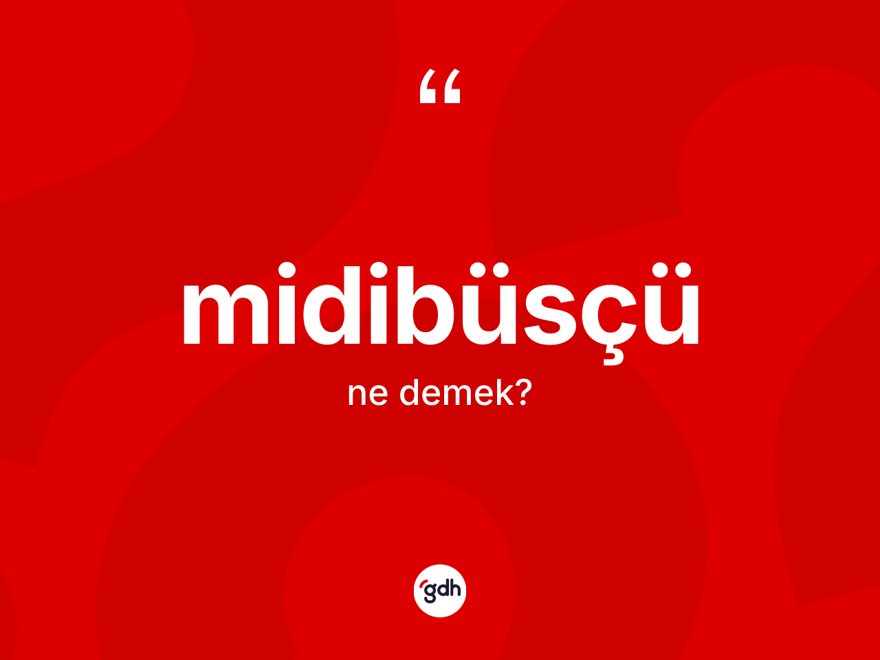 Midibüsçü kelimesi nedir? Midibüsçünün TDK'ya göre anlamı nedir?
