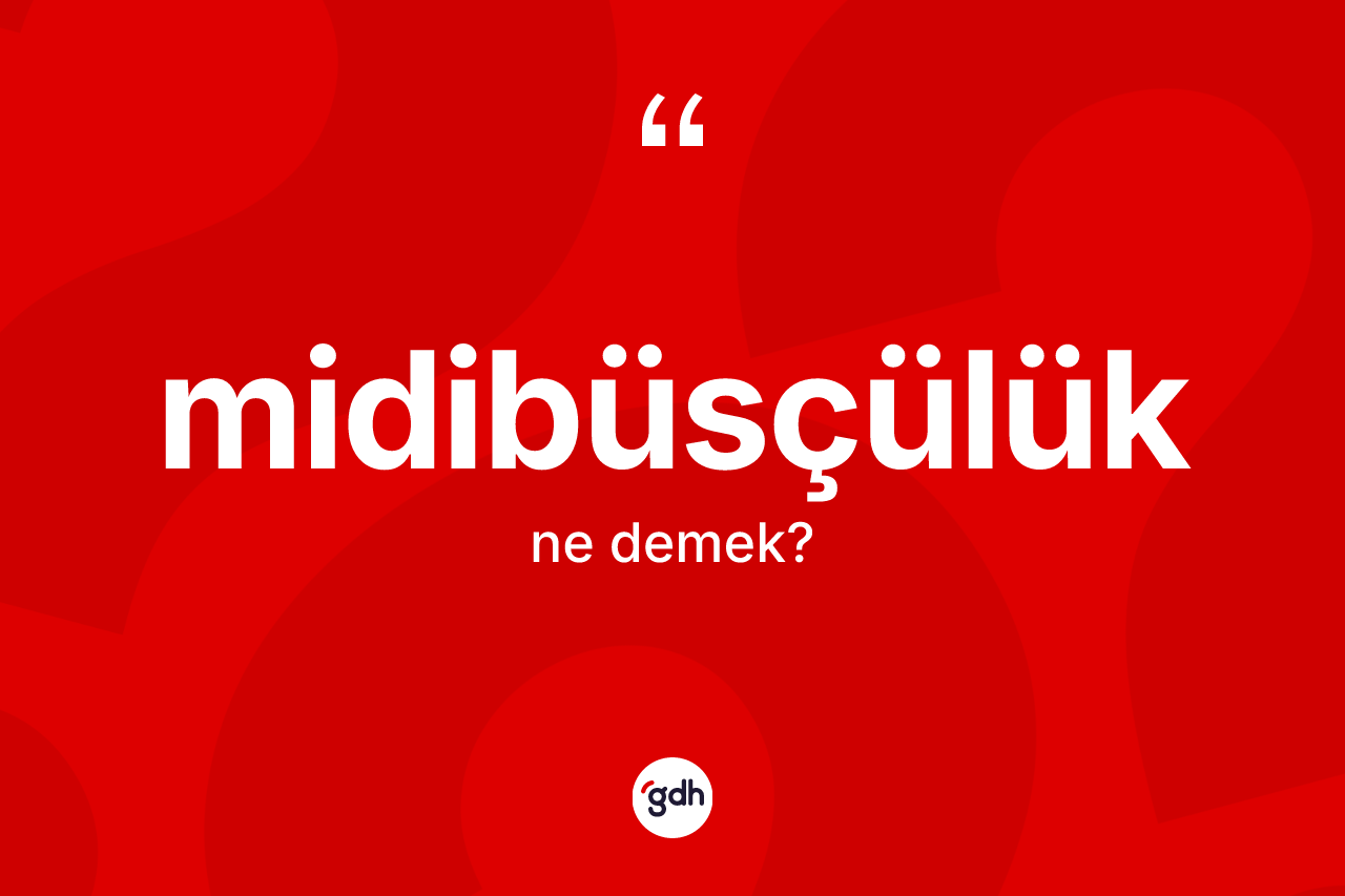 Midibüsçülük ne anlama gelir? Midibüsçülük kelimesinin TDK'ya göre açıklaması nedir?