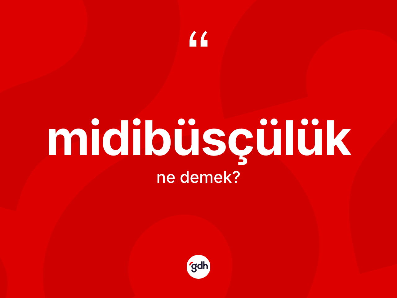 Midibüsçülük ne anlama gelir? Midibüsçülük kelimesinin TDK'ya göre açıklaması nedir?