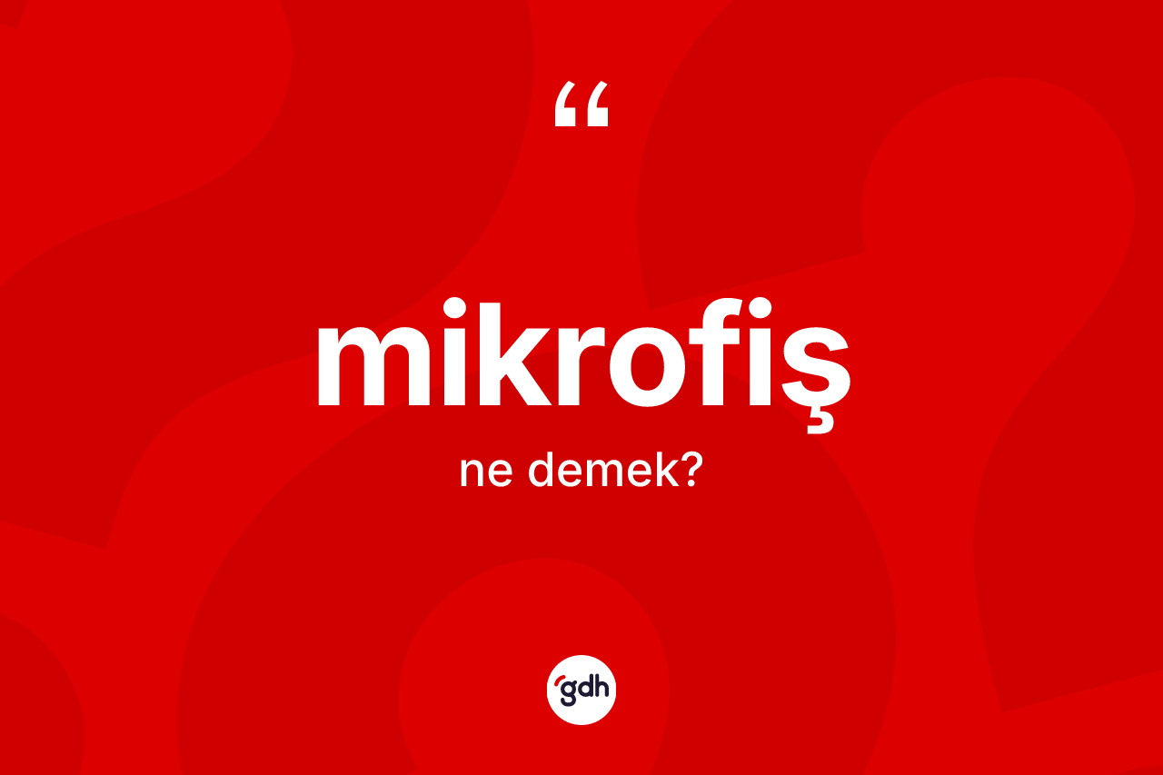 Mikrofiş ne anlama gelir? Mikrofiş kelimesinin kaç farklı anlamı var?