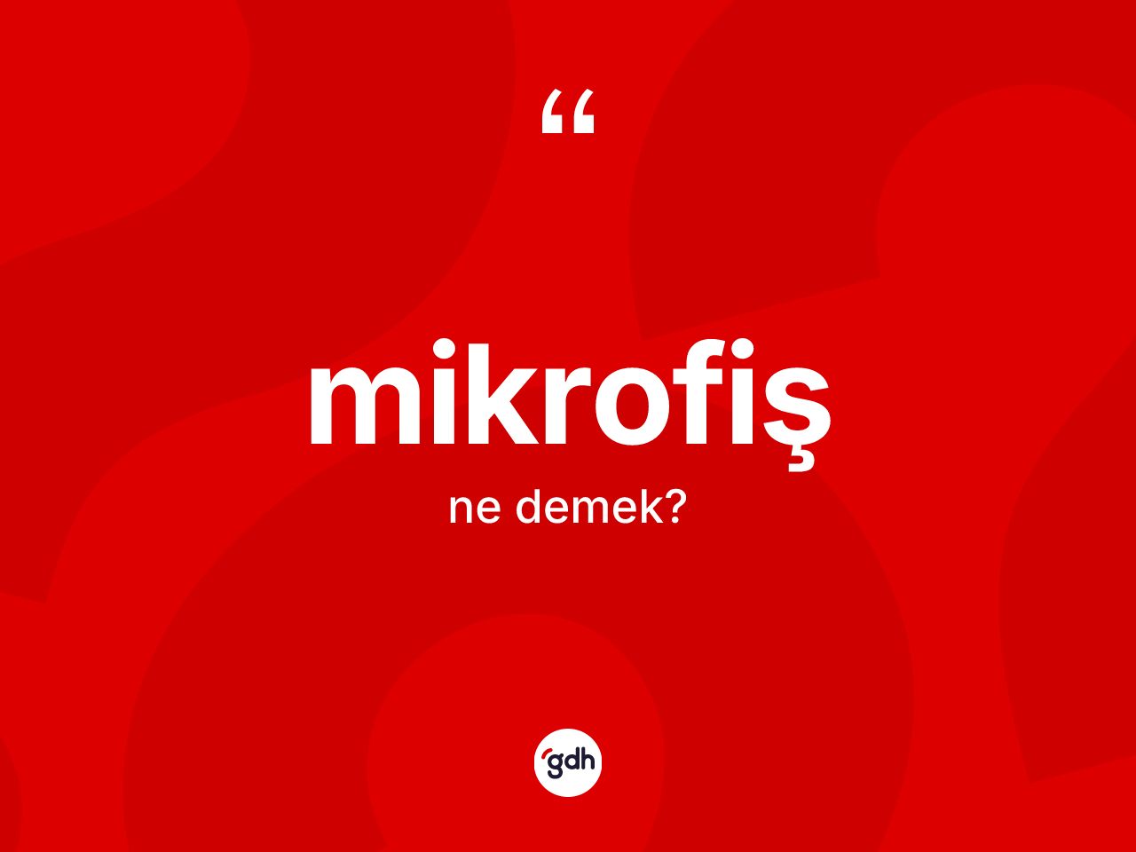 Mikrofiş ne anlama gelir? Mikrofiş kelimesinin kaç farklı anlamı var?