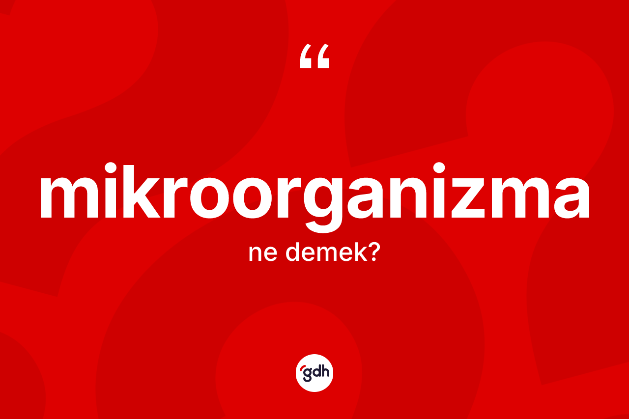 Mikroorganizma kelimesi nedir?