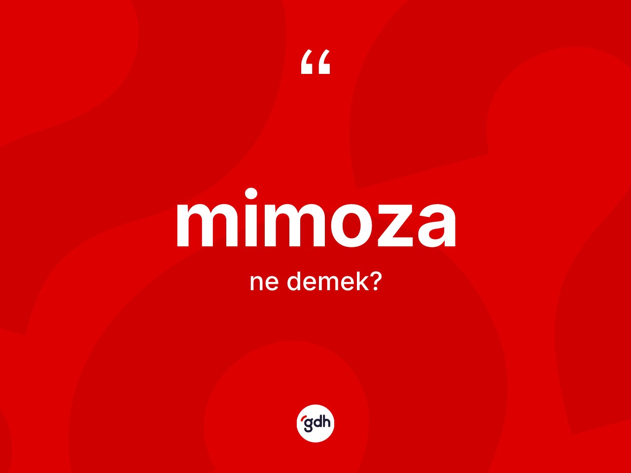 Mimoza ne anlama gelir? Mimoza kelimesinin TDK'ya göre açıklaması nedir?