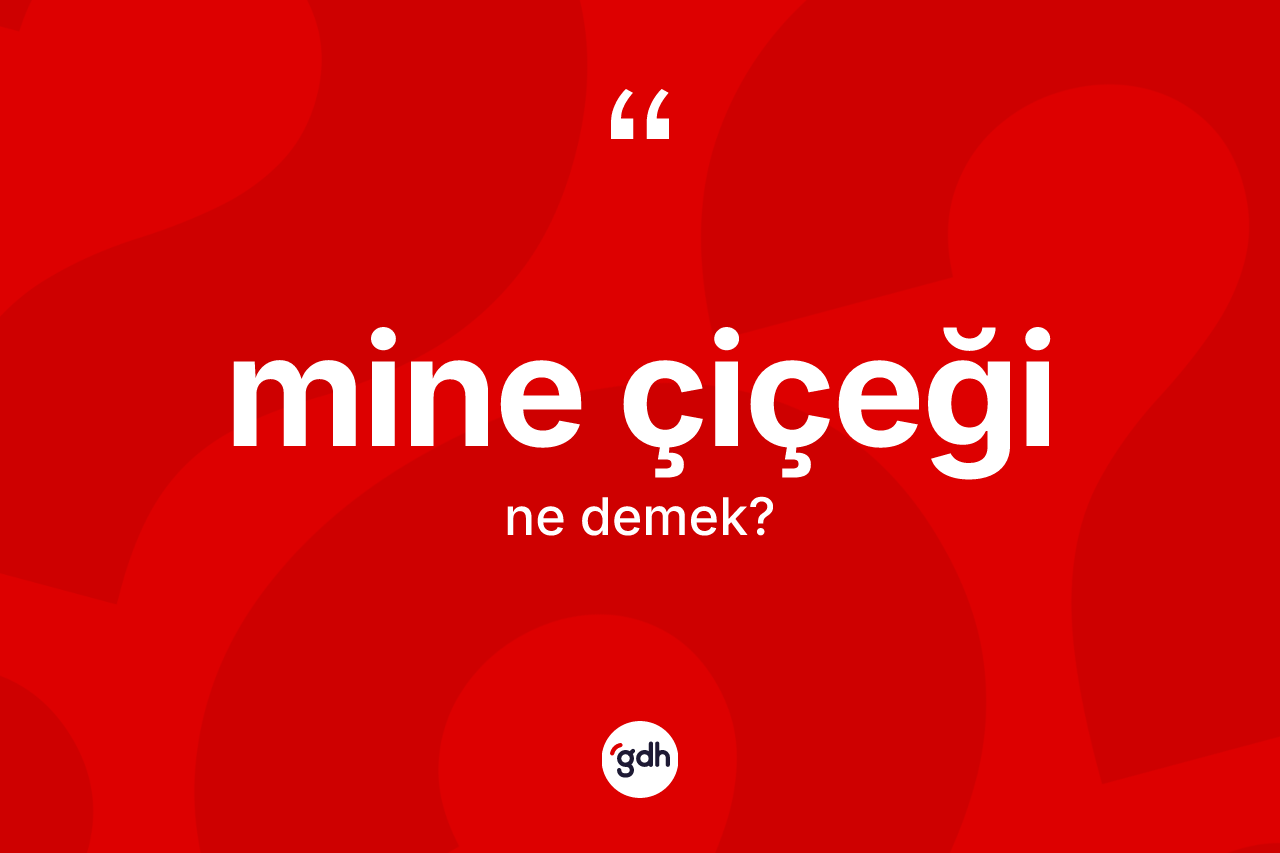 Mine çiçeği ne demek?