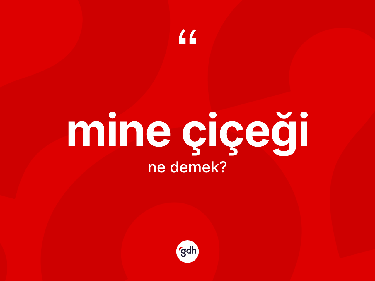 Mine çiçeği ne demek? Mine çiçeğinin TDK'ya göre anlamı nedir?