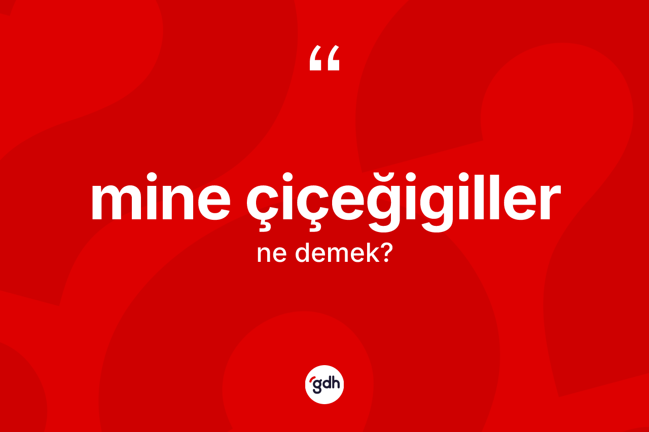 Mine çiçeğigiller kelimesinin anlamı nedir?