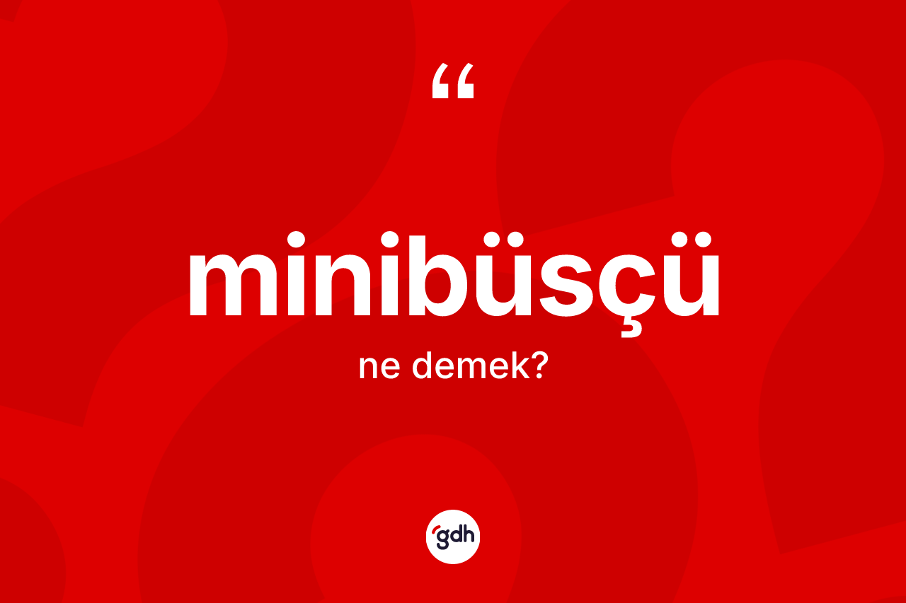 Minibüsçü kelimesi ne anlama gelir?