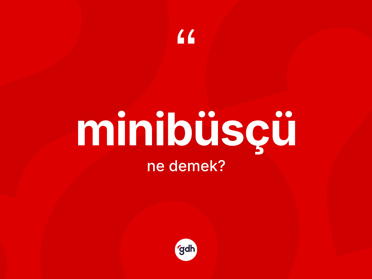 Minibüsçü kelimesi ne anlama gelir? Minibüsçünün TDK'ya göre anlamı nedir?