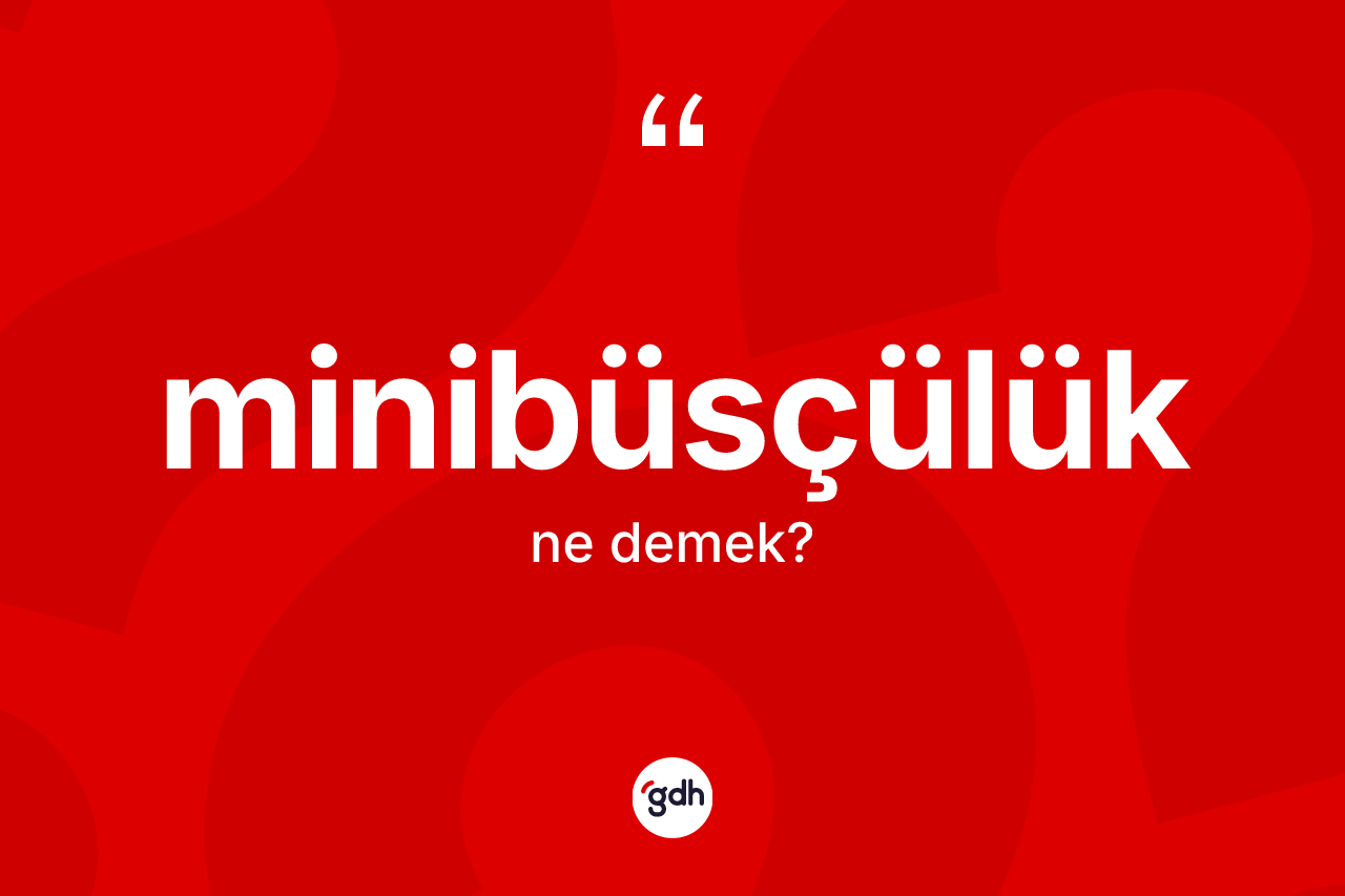Minibüsçülük ne demek? Minibüsçülük kelimesinin kaç farklı anlamı var?